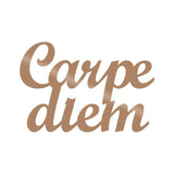 CARPEDIEM 1 - COPPER Wall Art-Metal Wall Art-[sale]-[design]-[modern]-Modern Furniture Deals