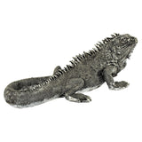 Iguana